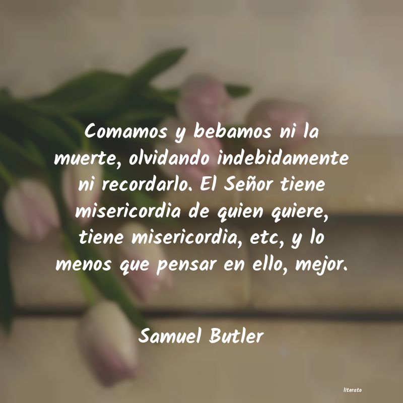 Frases de Samuel Butler