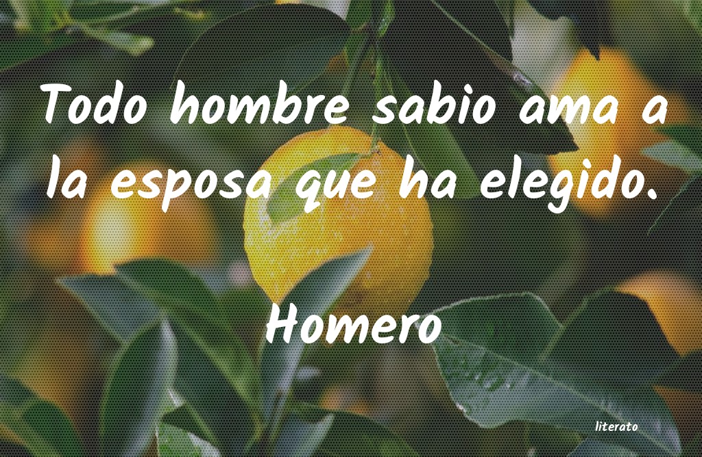 Frases de Homero