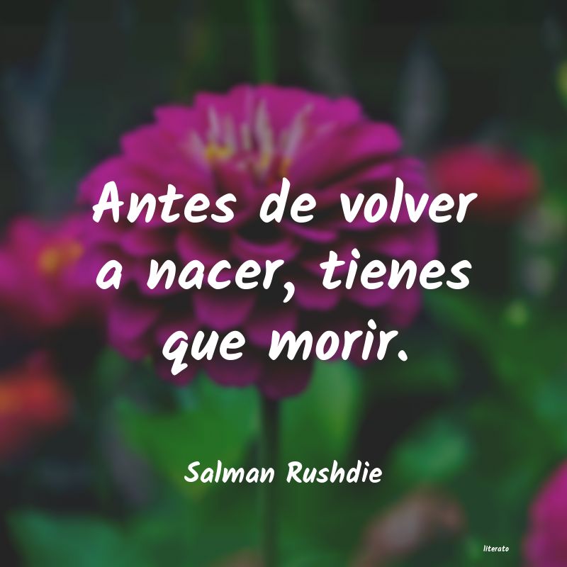 Frases de Salman Rushdie