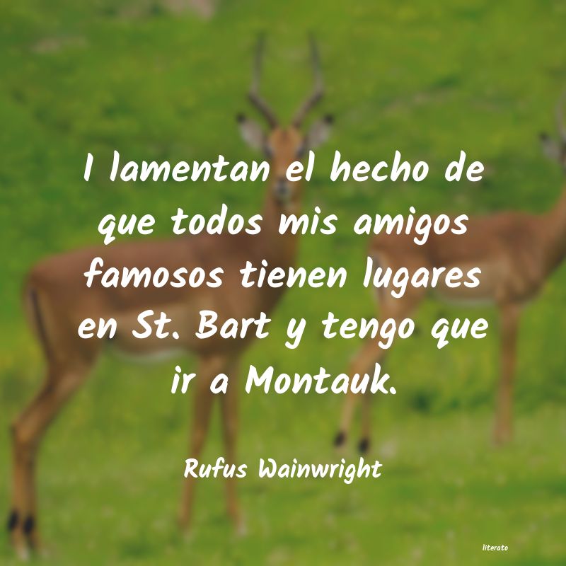 Frases de Rufus Wainwright