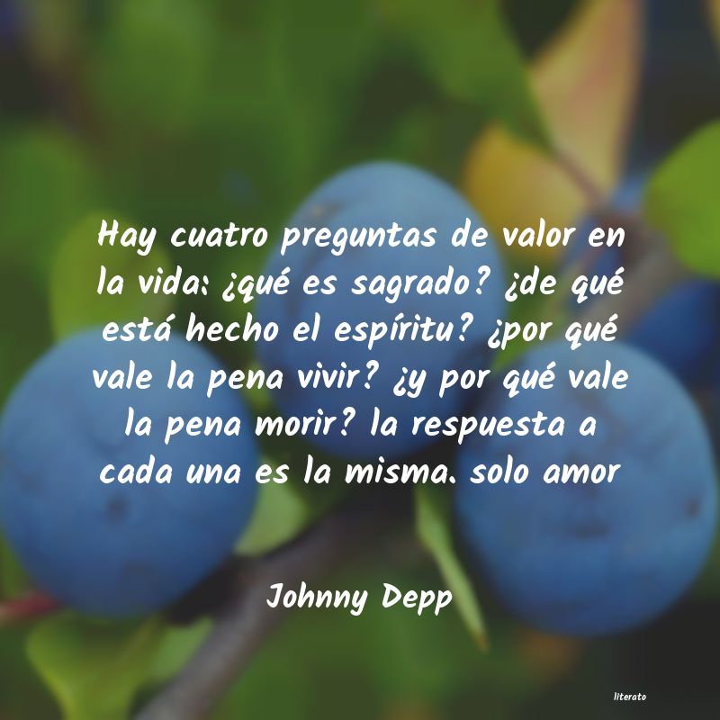 Frases de Johnny Depp