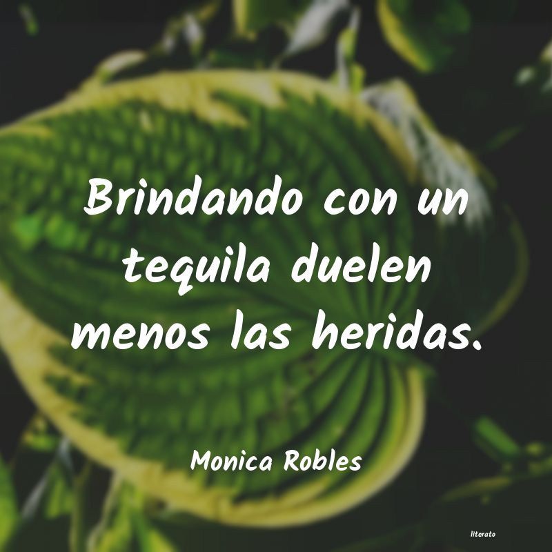 Frases de Monica Robles