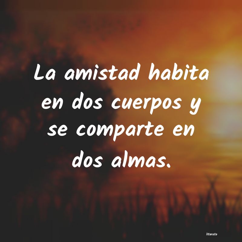 frases