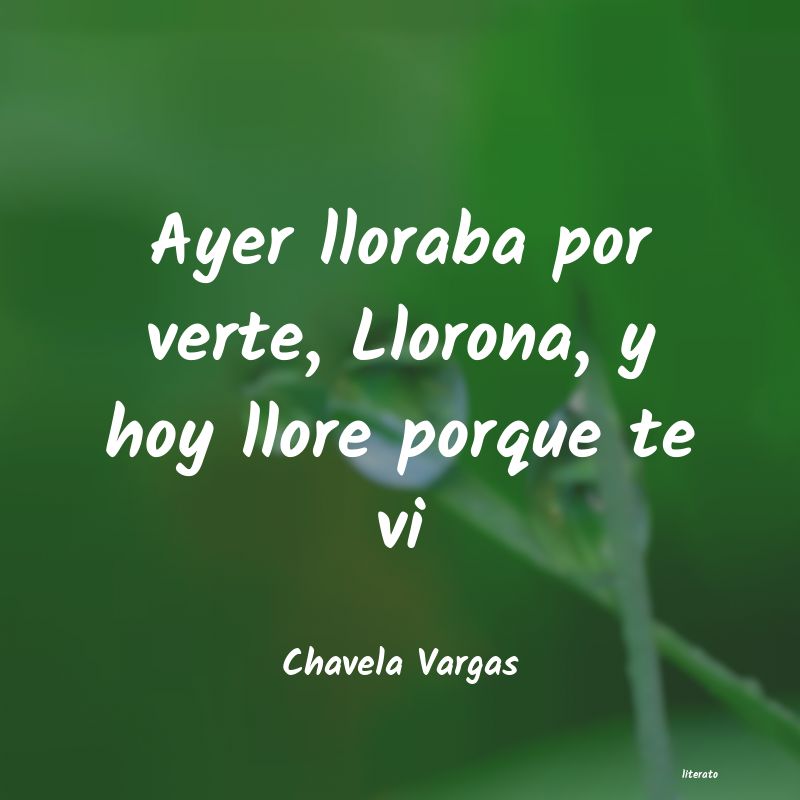 Frases de Chavela Vargas