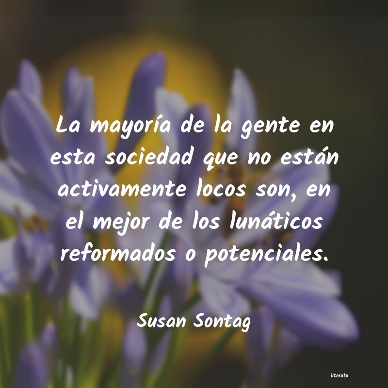 Frases de Susan Sontag