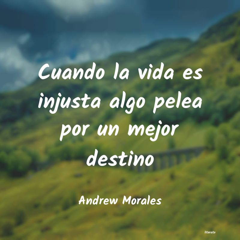 Frases de Andrew Morales