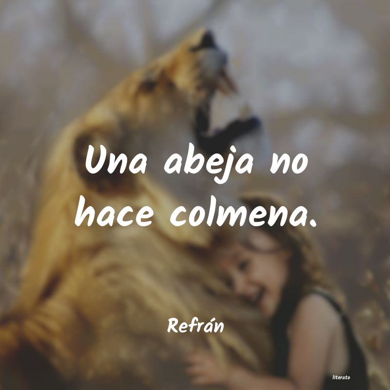 frases de Refrán