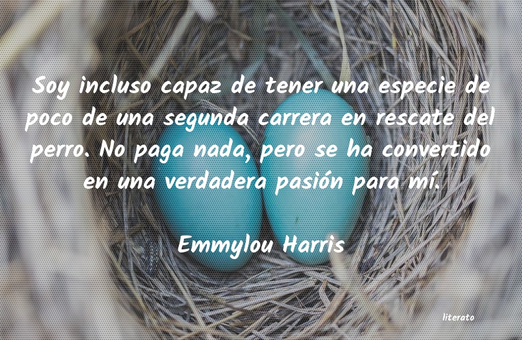 Frases de Emmylou Harris