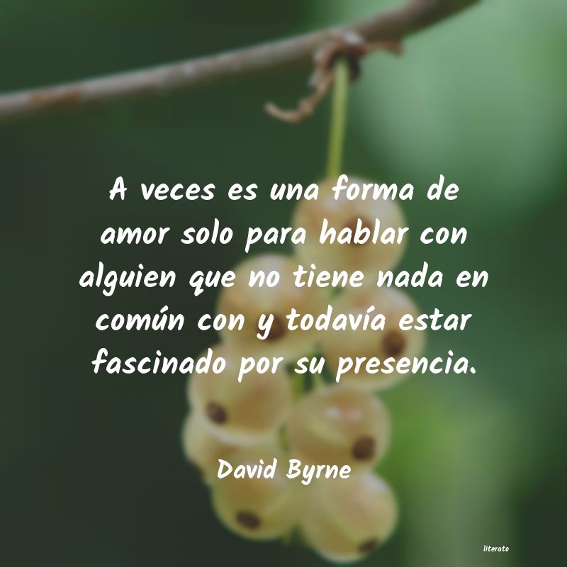 David Byrne: A veces es una forma de amor s