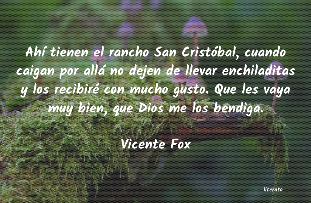 Frases de Vicente Fox