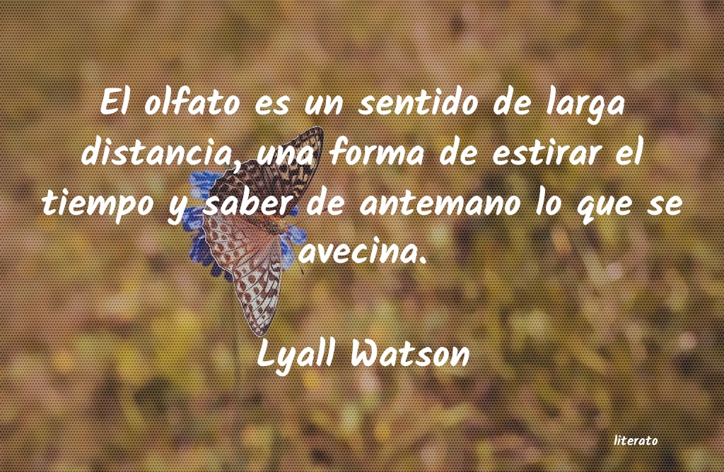 Frases de Lyall Watson