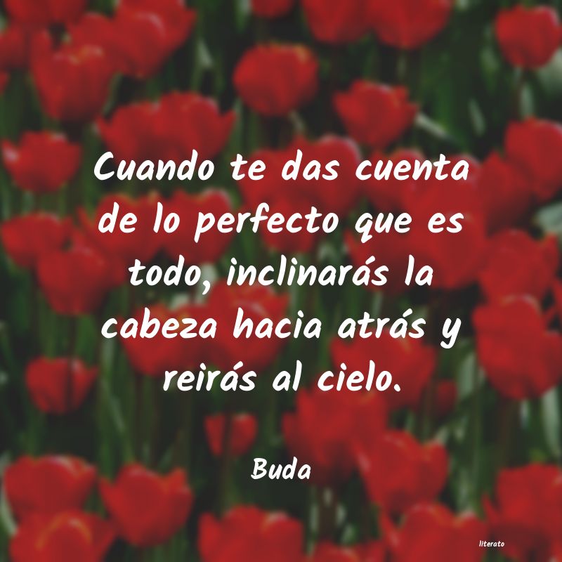 frases budistas