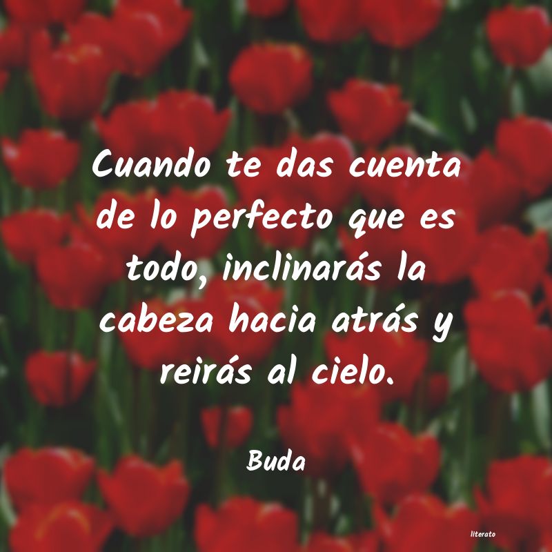 Frases de Buda