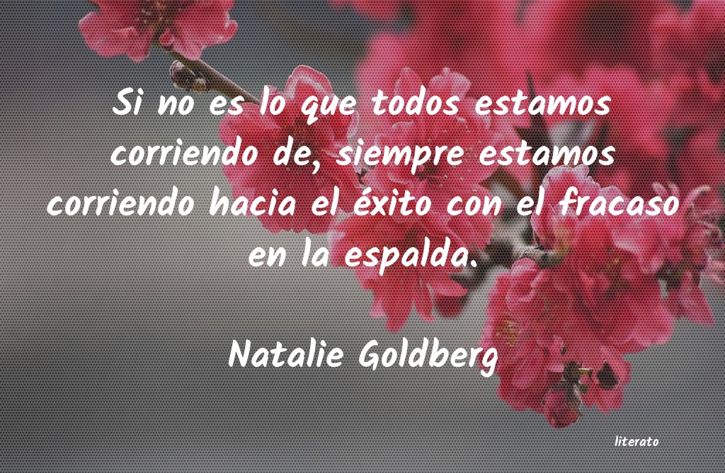 frases de Natalie Goldberg