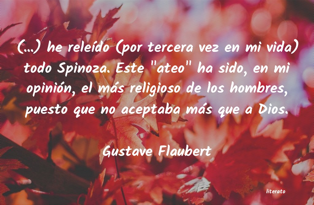 frases de Gustave Flaubert