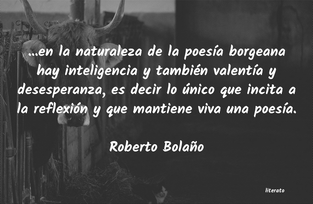 Frases de Roberto Bolaño