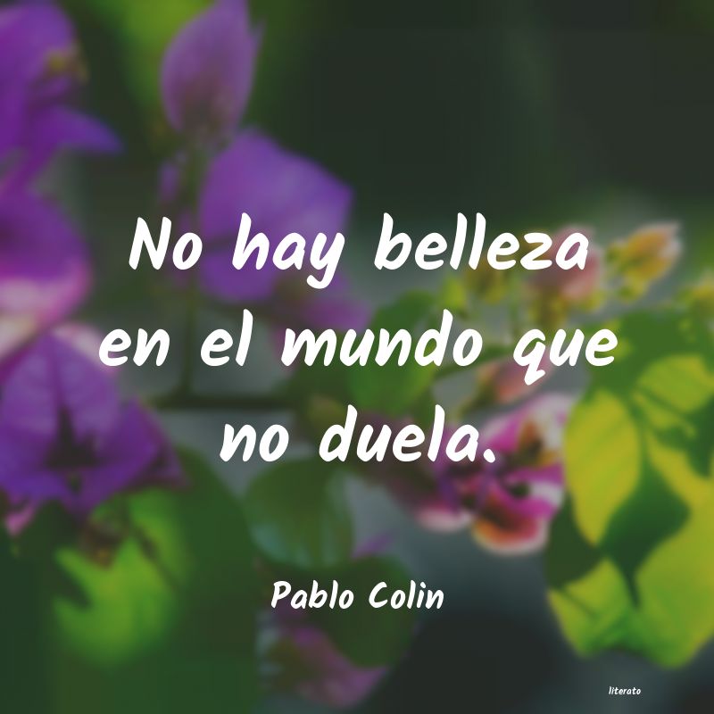 Frases de Pablo Colin