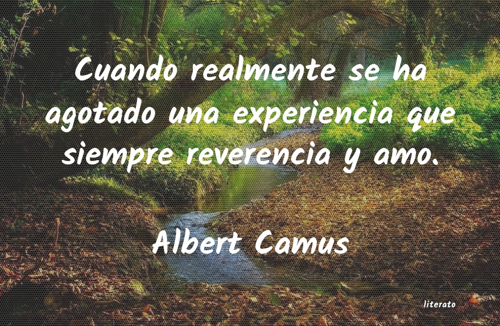 Frases de Albert Camus