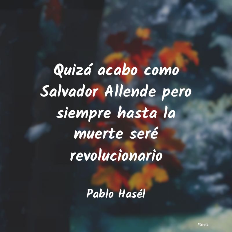 Frases de Pablo Hasél