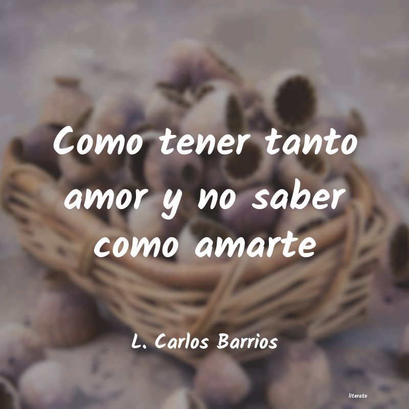 Frases de L. Carlos Barrios
