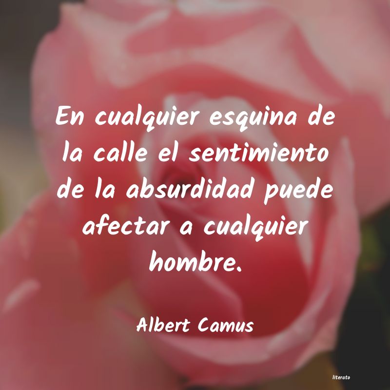 Frases de Albert Camus