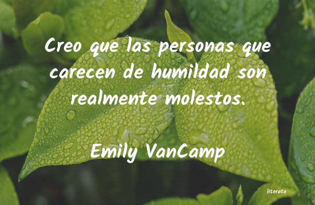 Frases de Emily VanCamp