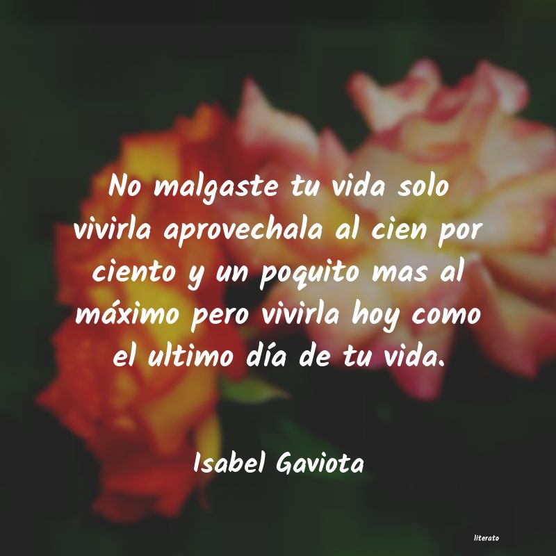 Frases de Isabel Gaviota