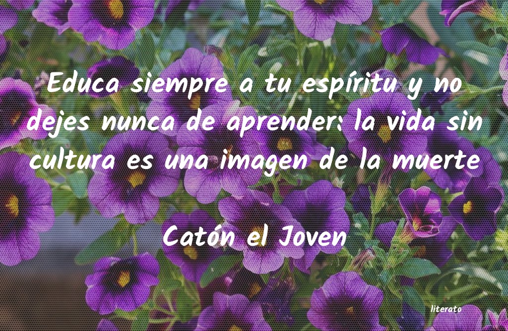 frases de Catón el Joven
