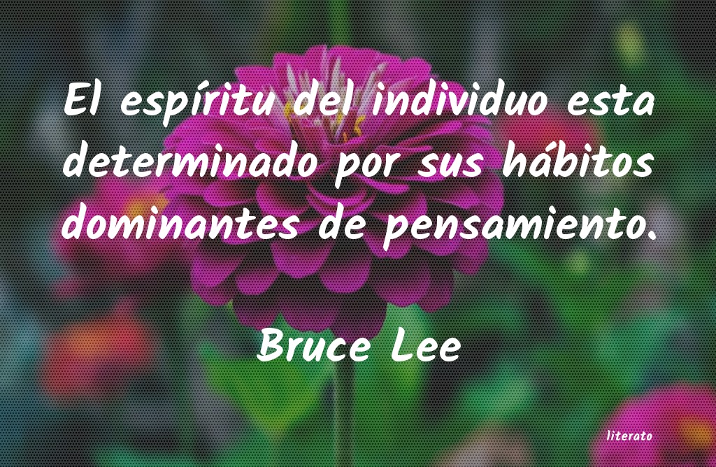frases de Bruce Lee