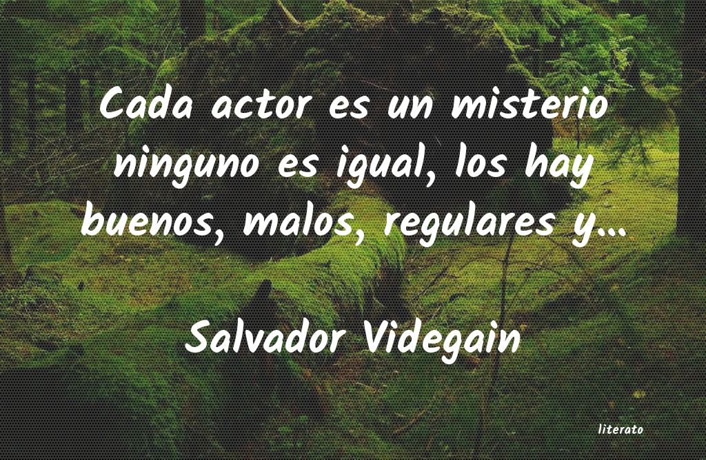 Frases de Salvador Videgain