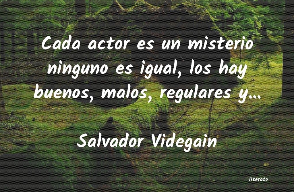 frases de Salvador Videgain