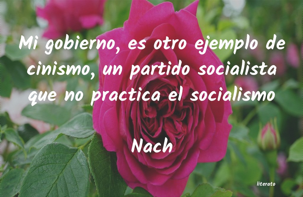 frases para poner en practica