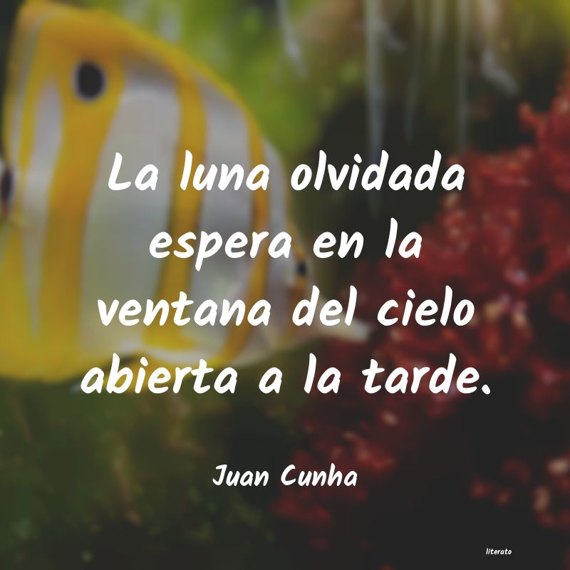 Frases de Juan Cunha