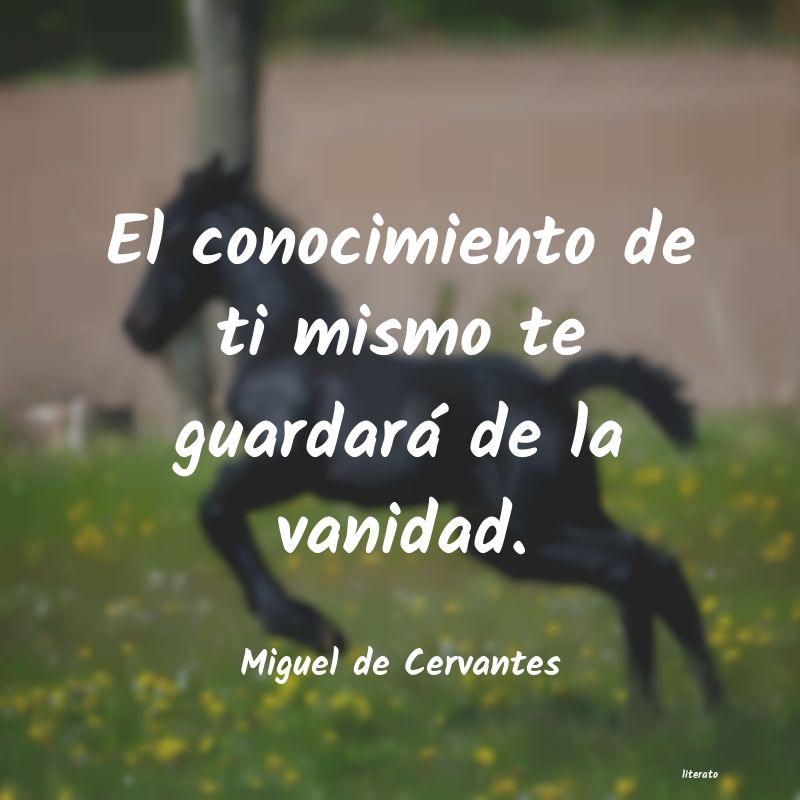 Frases de Miguel de Cervantes