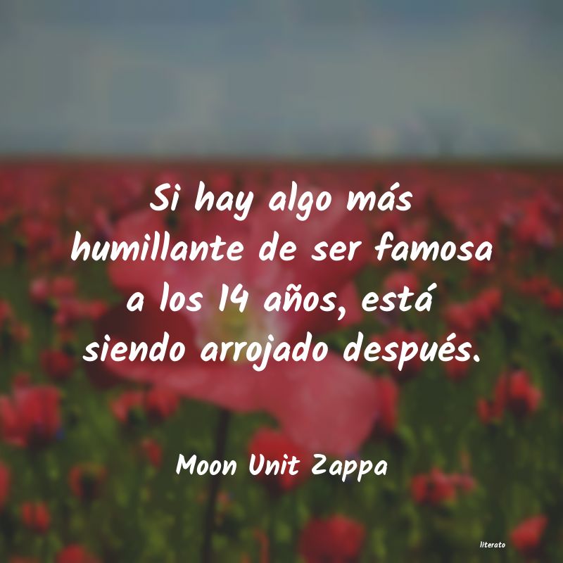 Frases de Moon Unit Zappa