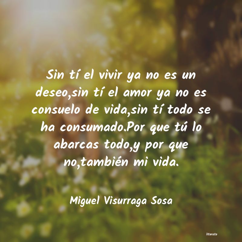 frases de Miguel Visurraga Sosa
