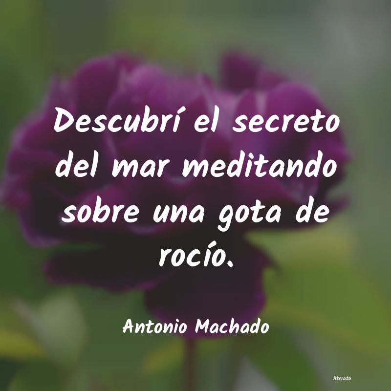 Frases de Antonio Machado