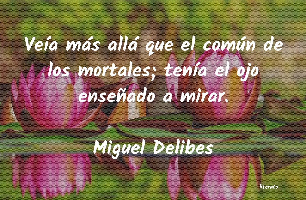 frases de Miguel Delibes