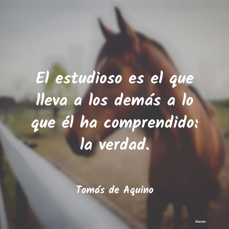 Frases de Tomás de Aquino