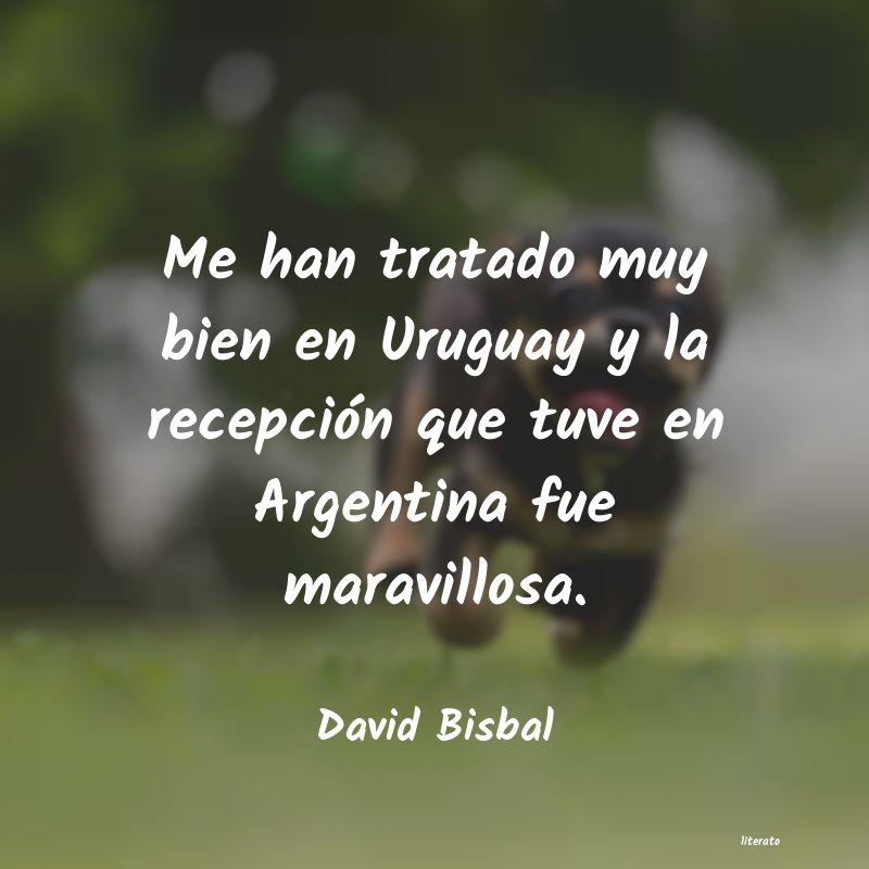 Frases de David Bisbal