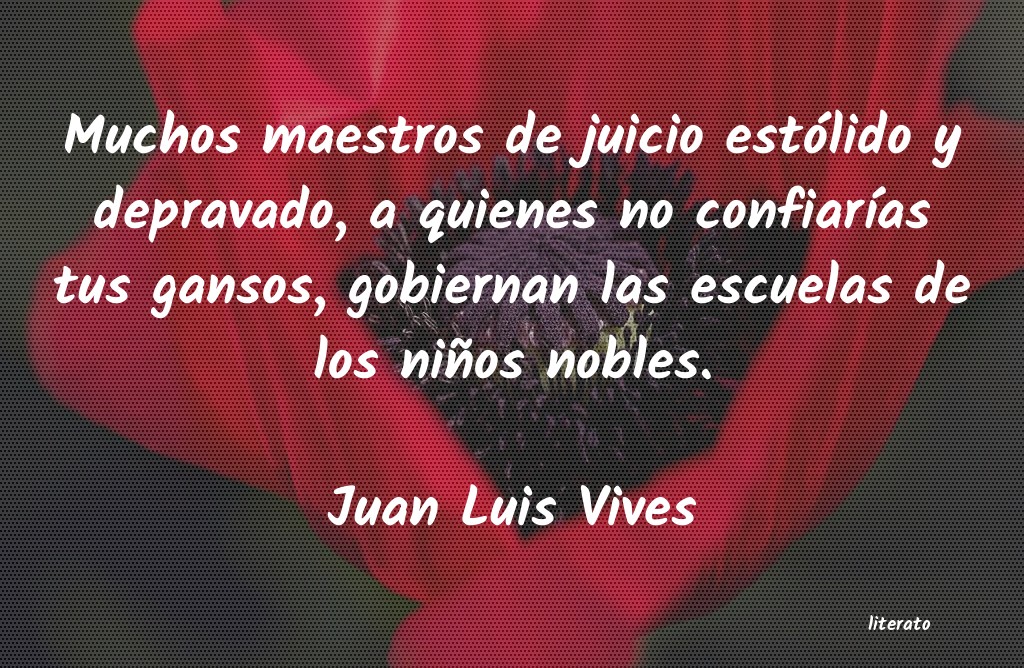 Frases de Juan Luis Vives