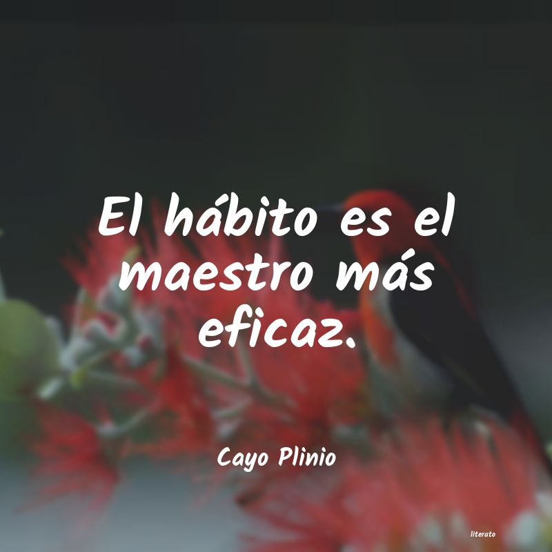 Frases de Cayo Plinio