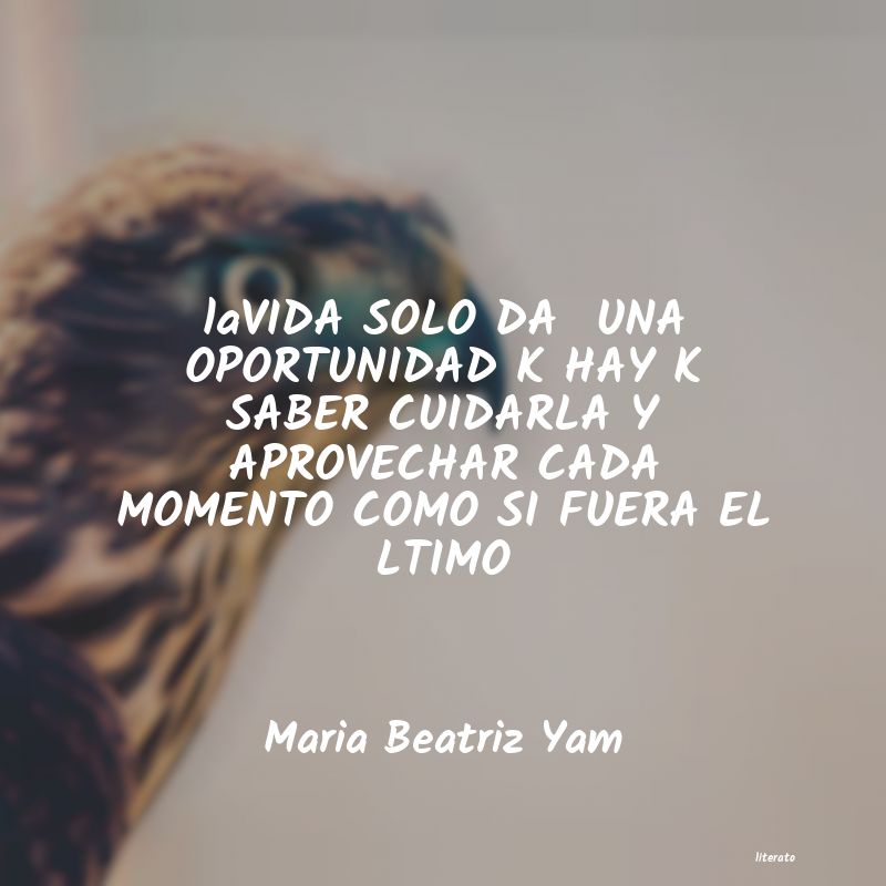 frases de Maria Beatriz Yam
