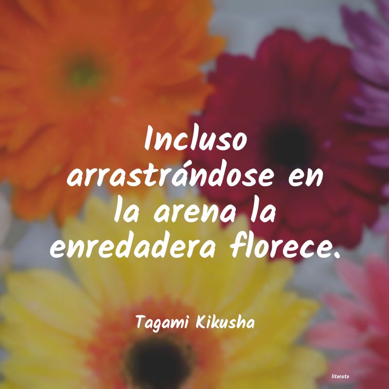 Frases de Tagami Kikusha