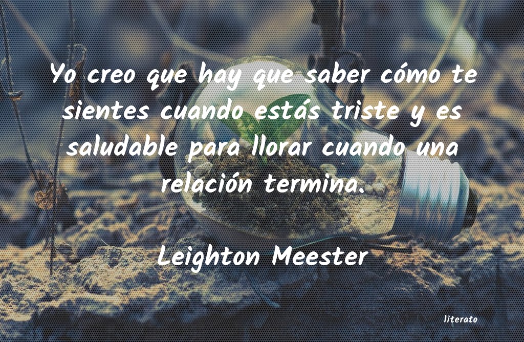 Frases de Leighton Meester