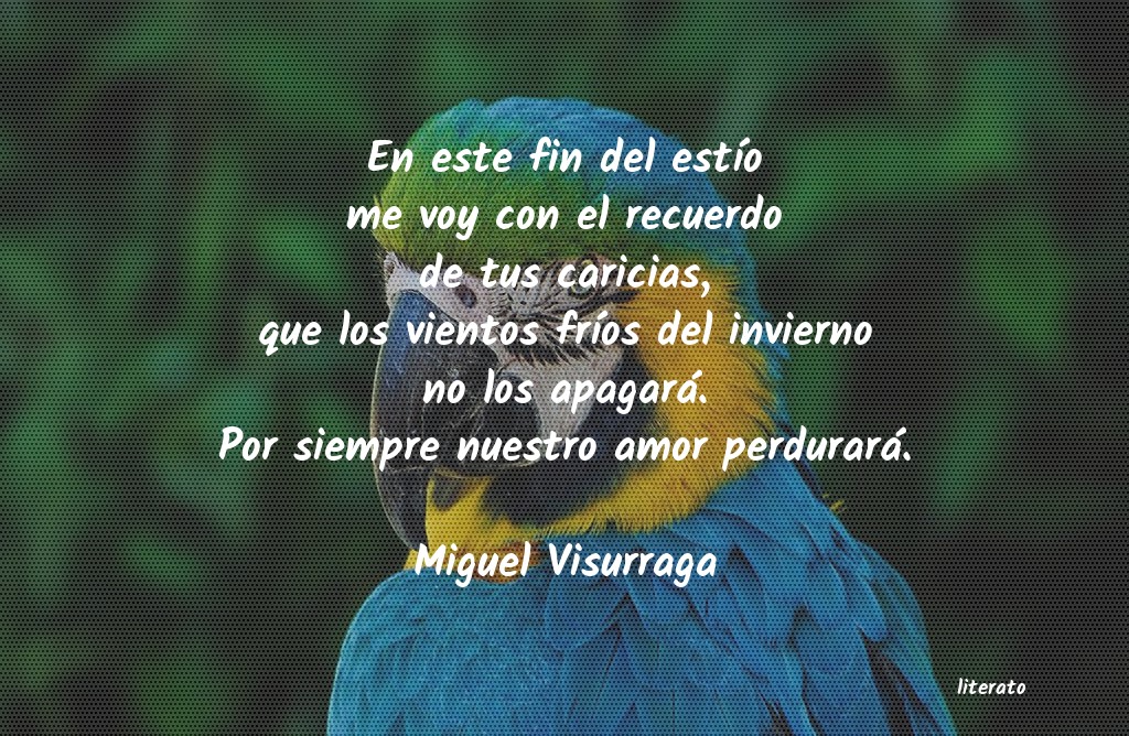 frases de Miguel Visurraga