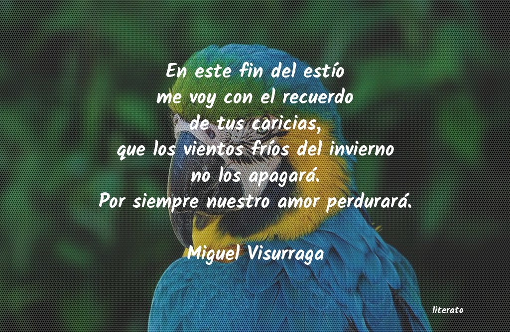 Frases de Miguel Visurraga