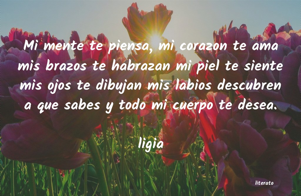 Frases de ligia