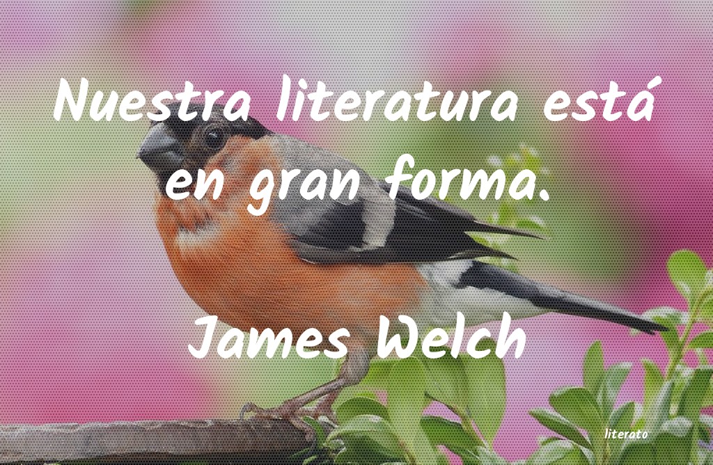 Frases de James Welch