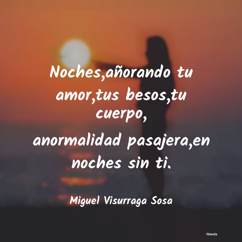 Frases de Miguel Visurraga Sosa